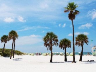 Clearwater Beach Voted #1 USA Today