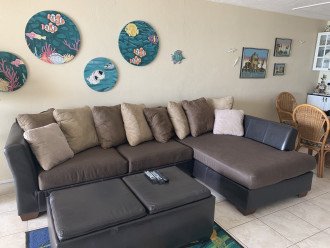 Living Room with NEW Queen Sleeper-Sofa