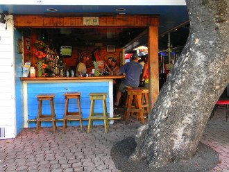 Tree Bar in Key West