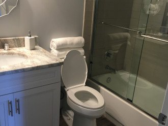 Guest bathroom
