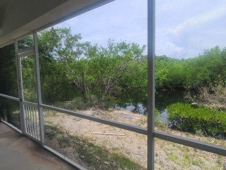 6 Bedroom Ocean Front Estate with Pool in Key Largo #19