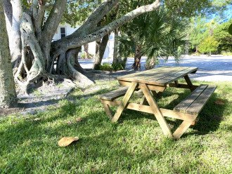 Back yard picnic table. Shaded and grassy.