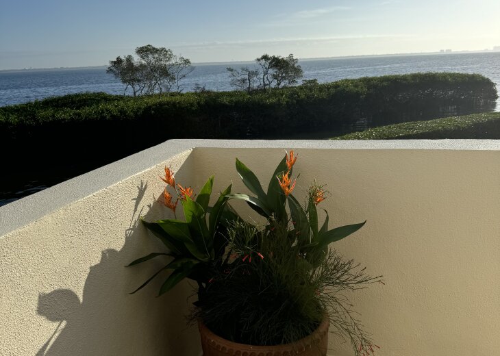 Main Lanai
