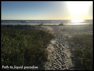 Cocoa Beach Paradise - Direct Ocean #1