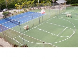 Tennis courts, basketball and shuffle board