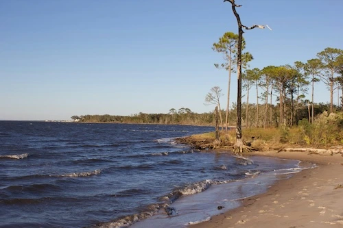 Big Lagoon State Park