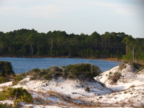 Coastal dune lakes