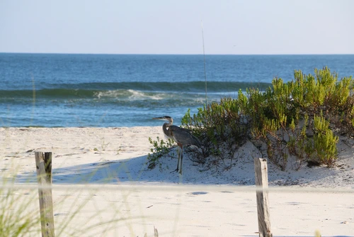 Johnson Beach