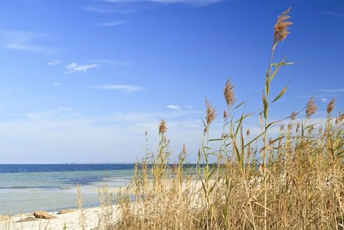 Paddle the Santa Rosa Sound