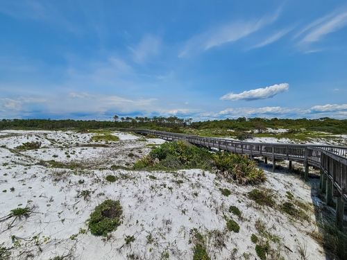 Grayton Beach State Park